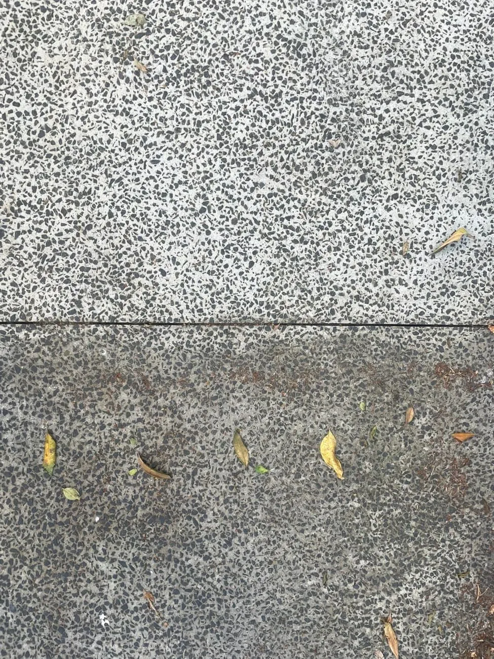Exposed aggregate path, cleaned top half bright and grey, untouched bottom half still dark and stained.